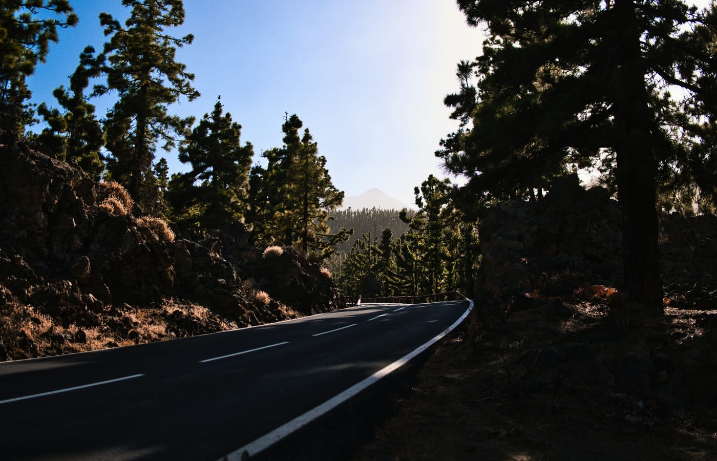 A road through Canary pine forest on the slopes of Tenerife
