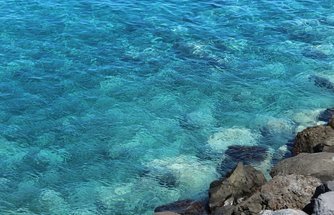 Clear turquoise water over dark volcanic rock on the south coast of Tenerife